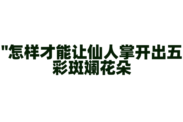 "怎样才能让仙人掌开出五彩斑斓花朵？"